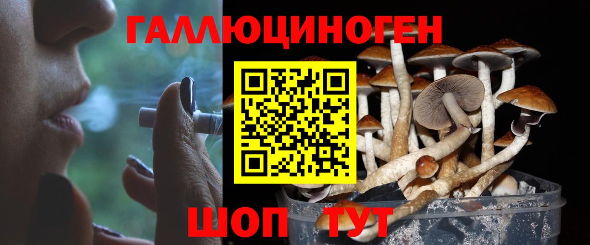 Псилоцибиновые грибы ЛСД  Псилоцибиновые грибы ЛСД  Вход с VPN  Рязань 